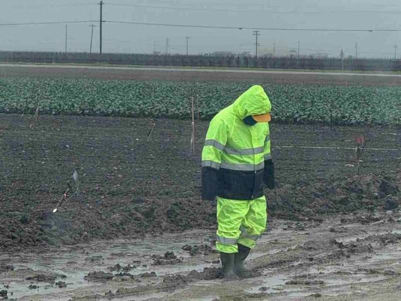traficar trabajadores agrícolas