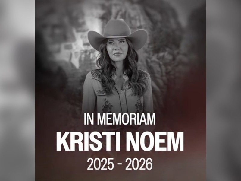 memes del despido de Kristi Noem