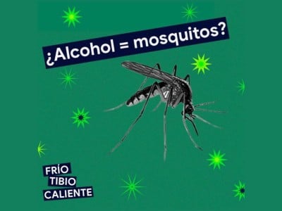 Pueden picar más los mosquitos cuando tomas