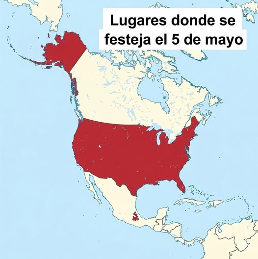 memes del 5 mayo
