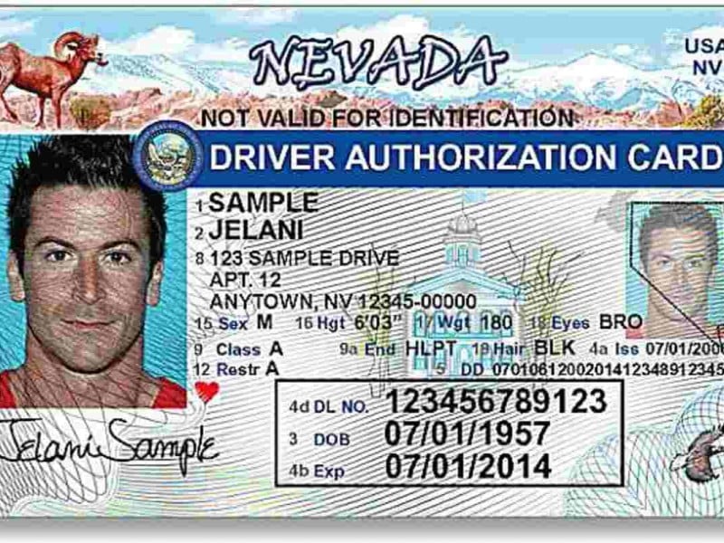 licencia de conducir en las vegas