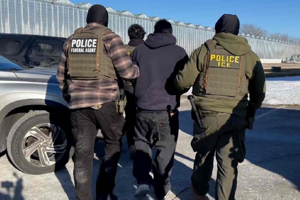 Imagen actual: l Foto: ICEgov