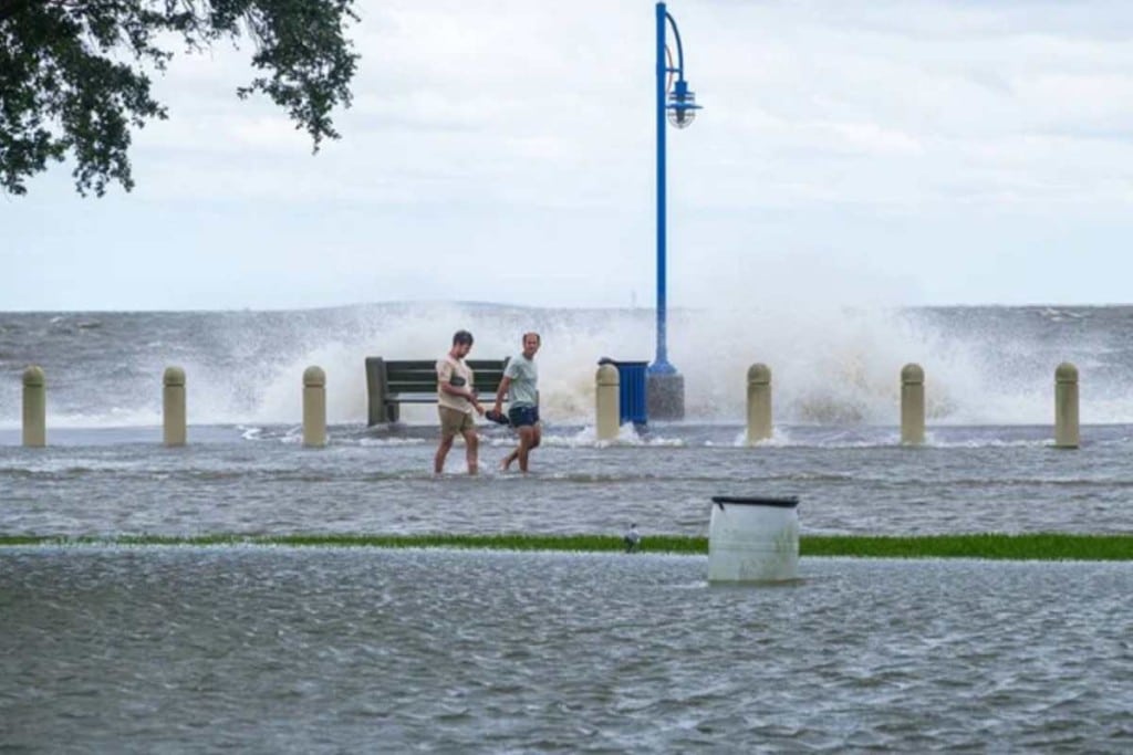 Imagen actual: l depositphotos